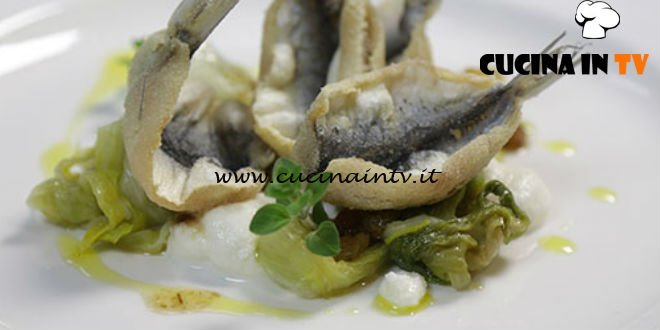 Cucine da incubo - Fritto di sarde con scarola e burrata ricetta Antonino Cannavacciuolo