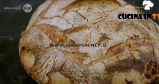 Pane Olio e Fantasia - ricetta Pane tradizionale con licoli di Enrica Della Martira