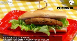 Mattino Cinque - ricetta Sandwich con macinato di pollo di Samya