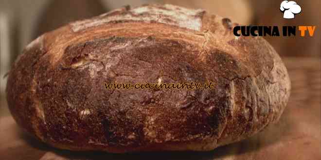 Nel forno di casa tua - ricetta Pagnotta di San Francisco di Fulvio Marino