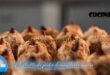 Sapore Salentino |Dolcetti di pasta di mandorle amare ricetta Francesca Micoccio