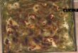 È sempre mezzogiorno | Lasagna focaccia ricetta gemelli Billi